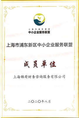 上海錦荷財務咨詢服務 專業引領，助您穩健前行